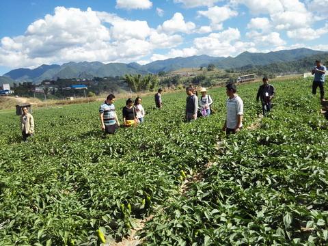 山东乳山市300名科技示范户喜获免费化肥